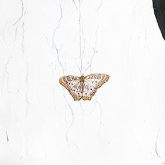 White Peacock Rooted Ground w/Butterfly
Giclee Print by Anthony Burks Sr - Picture 3 of 3